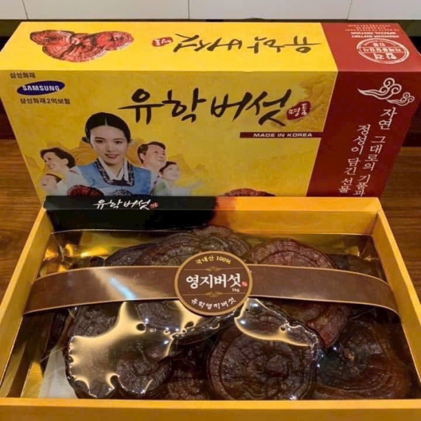 Nấm Linh Chi Đỏ Hàn Quốc Hộp Cô Gái Geumsan 1Kg